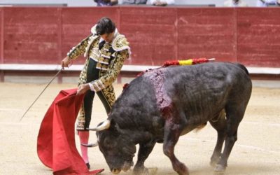 Imagen de Curro Diaz grave tras una cornada en el muslo al entrar a matar