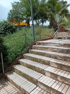 Imagen de El Psoe de Linares denuncia la ausencia de una actuación integral  en una zona peatonal deteriorada