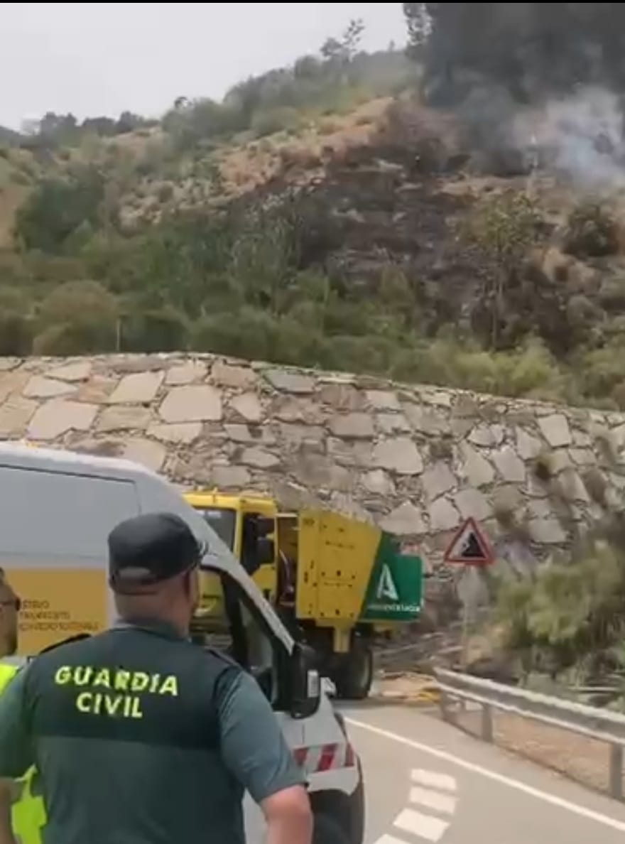 Imagen de Detenido un Hombre en Jaén por Incendio Forestal Provocado