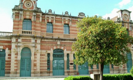 Imagen de El Ayuntamiento de Linares impulsa una Navidad participativa para las personas mayores