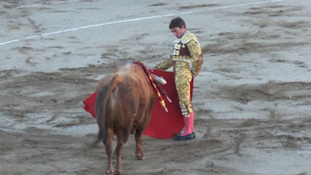 Imagen de David Gil evoluciona favorablemente y recibe el alta de la UCI tras la grave herida por asta de toro en el cuello