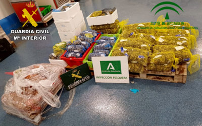 Imagen de La Guardia Civil, ha intervenido 341 kilogramos de Chirla y Almeja Japonesa, con una talla inferior a la reglamentaria.