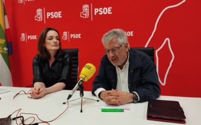 Imagen de El PSOE de Linares Presenta una Moción para Mejorar el Mantenimiento de los Centros Educativos