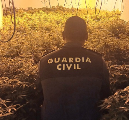 Imagen de La Guardia Civil ha desmantelado una plantación de marihuana de alto rendimiento en Bélmez de la Moraleda